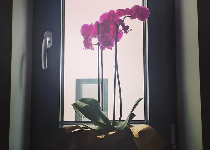 Iskra Sparkle Apartman